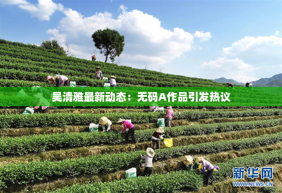 吴清雅最新动态：无码A作品引发热议