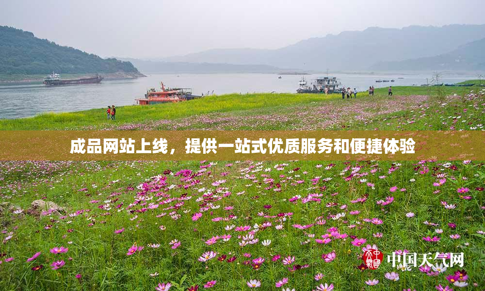 成品网站上线，提供一站式优质服务和便捷体验