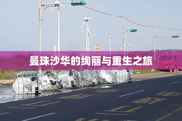 曼珠沙华的绚丽与重生之旅