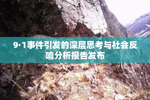 9·1事件引发的深层思考与社会反响分析报告发布