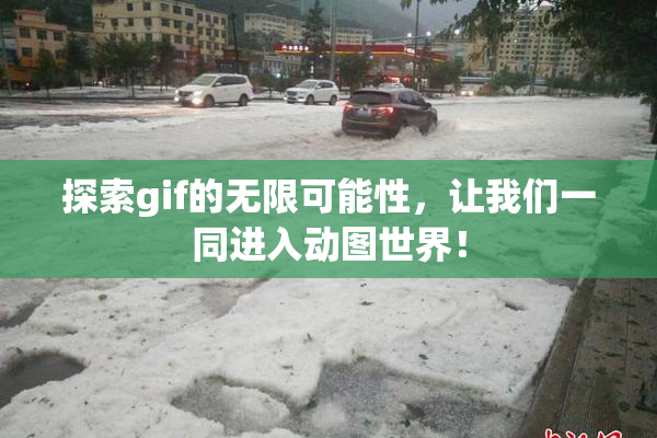 探索gif的无限可能性，让我们一同进入动图世界！