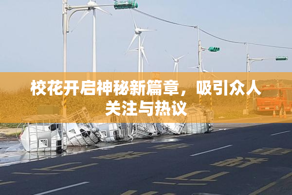 校花开启神秘新篇章，吸引众人关注与热议