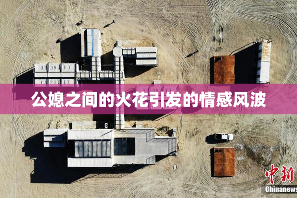 公媳之间的火花引发的情感风波
