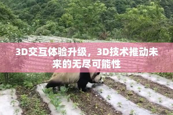 3D交互体验升级，3D技术推动未来的无尽可能性
