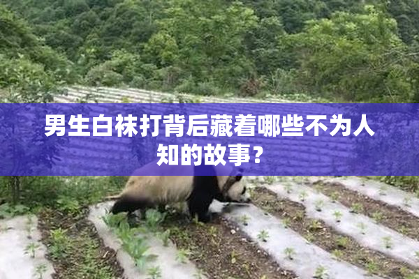 男生白袜打背后藏着哪些不为人知的故事？