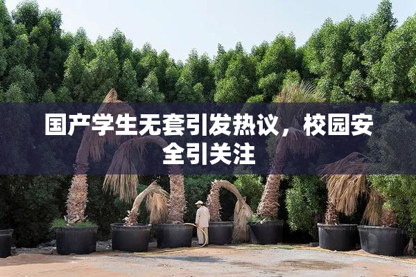 国产学生无套引发热议，校园安全引关注