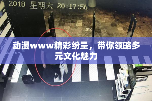 动漫www精彩纷呈，带你领略多元文化魅力