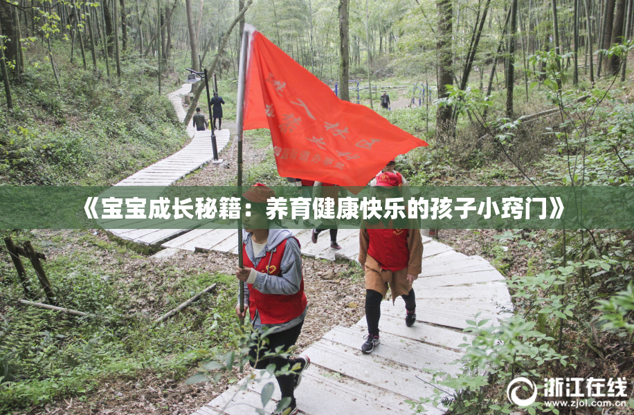 《宝宝成长秘籍：养育健康快乐的孩子小窍门》