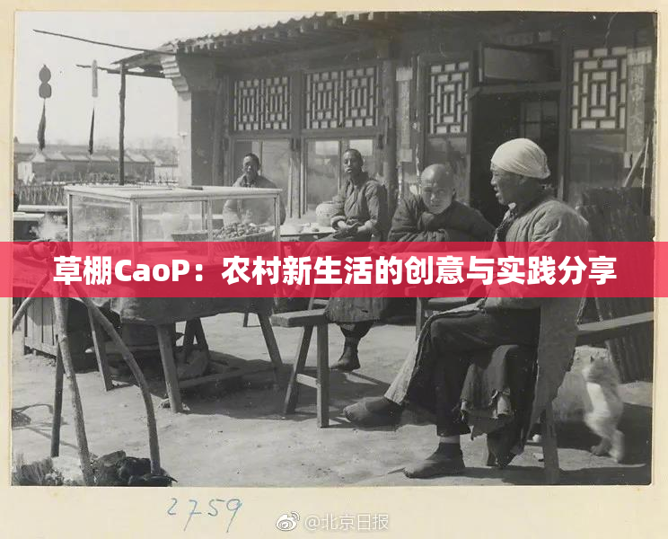 草棚CaoP：农村新生活的创意与实践分享