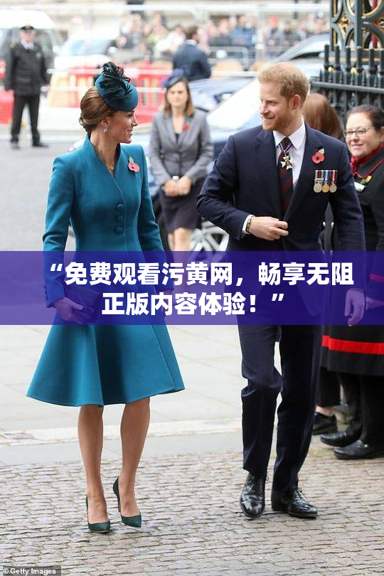 “免费观看污黄网，畅享无阻正版内容体验！”