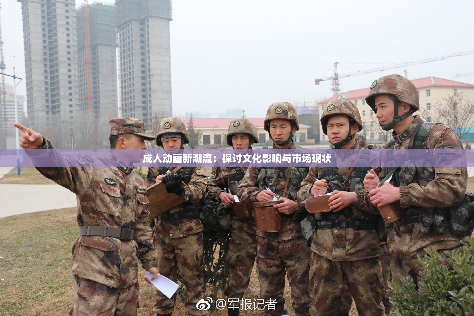 成人动画新潮流：探讨文化影响与市场现状