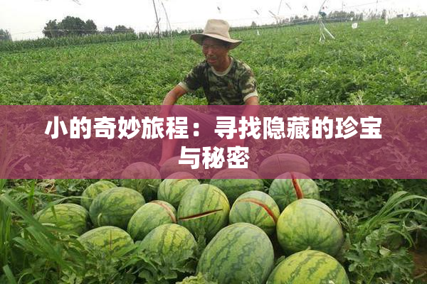 小的奇妙旅程：寻找隐藏的珍宝与秘密