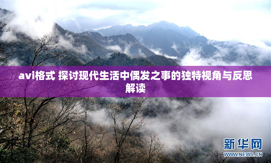 avi格式 探讨现代生活中偶发之事的独特视角与反思解读