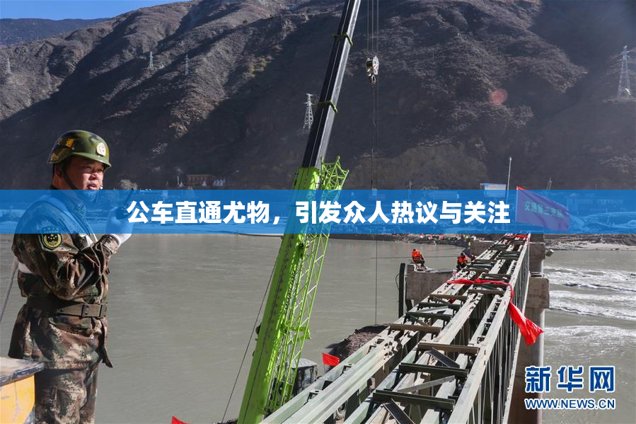公车直通尤物，引发众人热议与关注