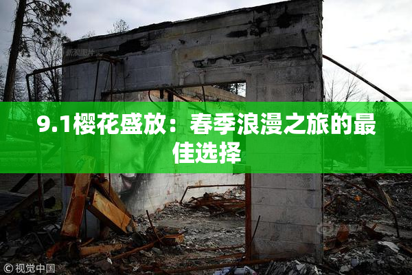 9.1樱花盛放：春季浪漫之旅的最佳选择