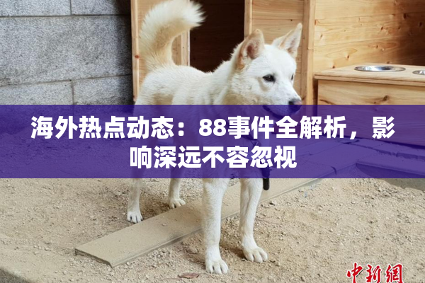 海外热点动态：88事件全解析，影响深远不容忽视