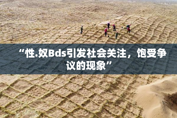 “性.奴Bds引发社会关注，饱受争议的现象”