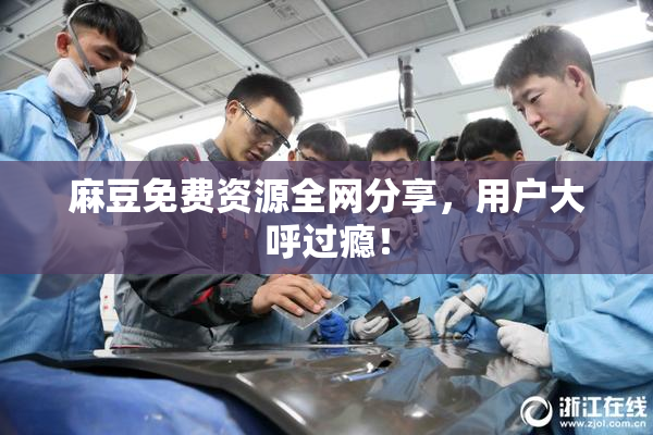 麻豆免费资源全网分享，用户大呼过瘾！