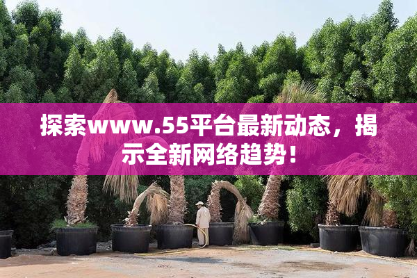 探索www.55平台最新动态，揭示全新网络趋势！
