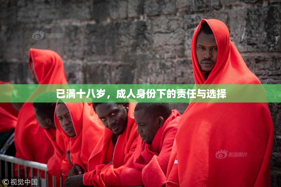 已满十八岁，成人身份下的责任与选择