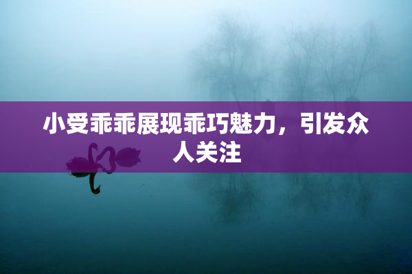 小受乖乖展现乖巧魅力，引发众人关注