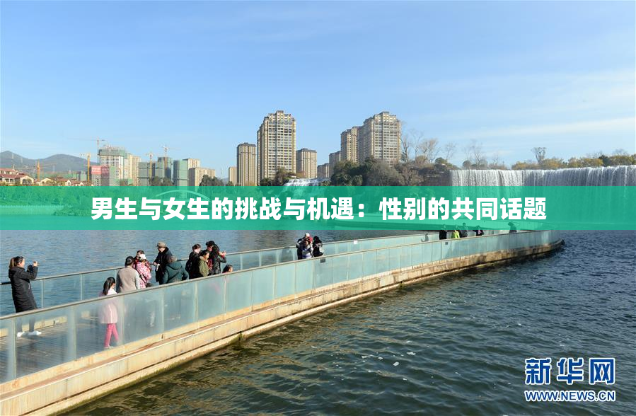 男生与女生的挑战与机遇：性别的共同话题