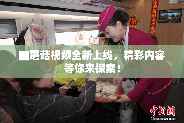 ▇蘑菇视频全新上线，精彩内容等你来探索！