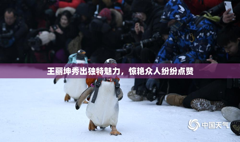 王丽坤秀出独特魅力，惊艳众人纷纷点赞