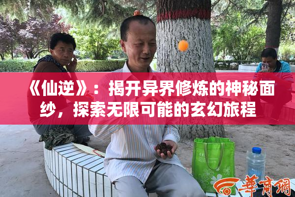 《仙逆》：揭开异界修炼的神秘面纱，探索无限可能的玄幻旅程
