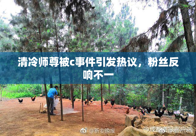清冷师尊被c事件引发热议，粉丝反响不一