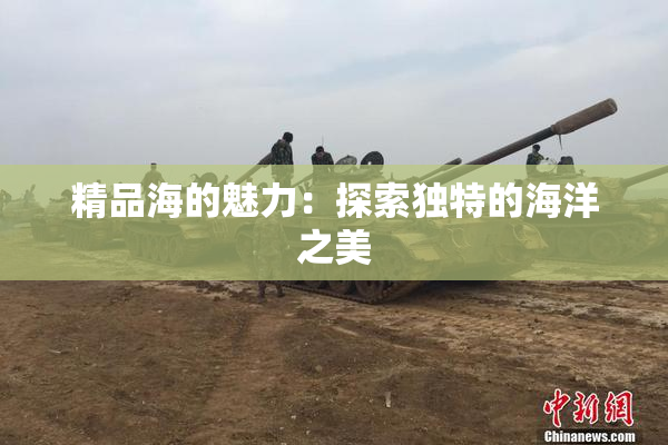 精品海的魅力：探索独特的海洋之美