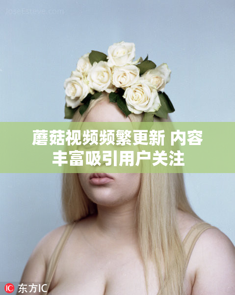 蘑菇视频频繁更新 内容丰富吸引用户关注