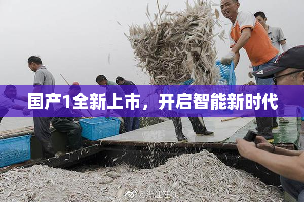 国产1全新上市，开启智能新时代