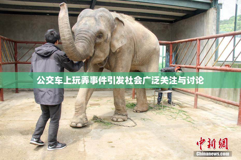 公交车上玩弄事件引发社会广泛关注与讨论