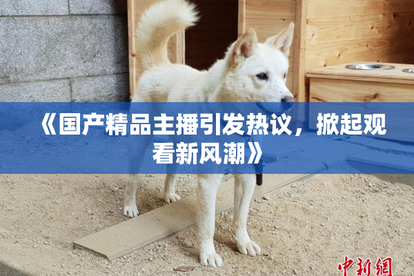 《国产精品主播引发热议，掀起观看新风潮》