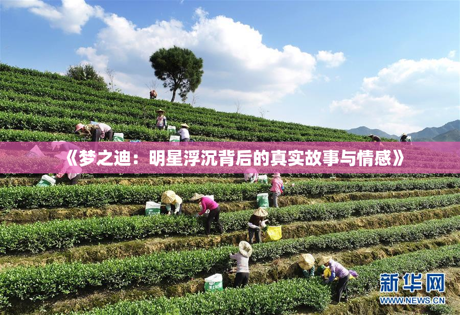 《梦之迪：明星浮沉背后的真实故事与情感》