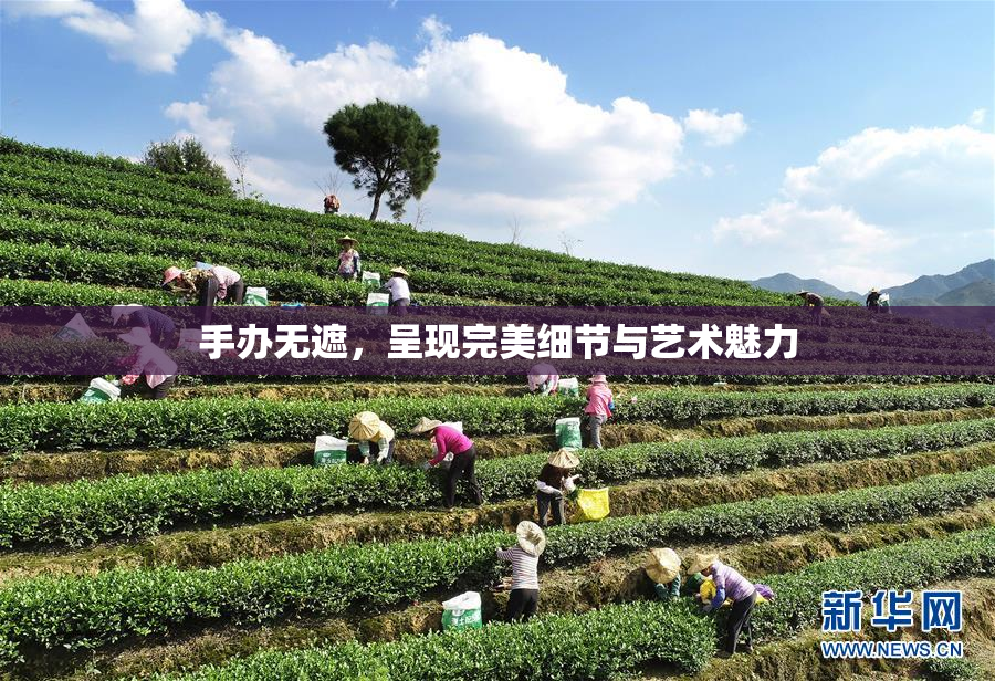手办无遮，呈现完美细节与艺术魅力