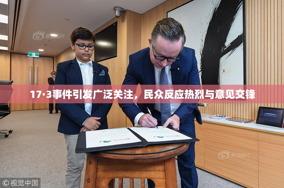 17·3事件引发广泛关注，民众反应热烈与意见交锋