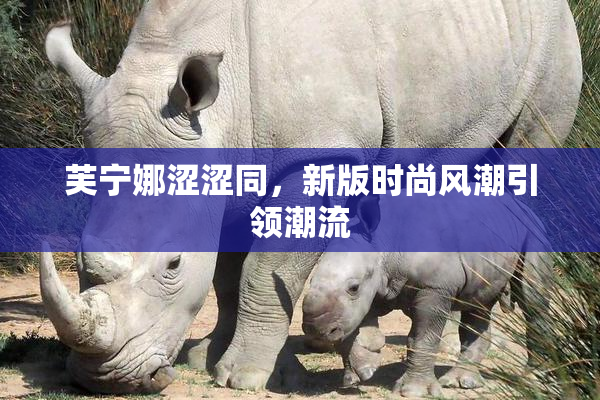 芙宁娜涩涩同，新版时尚风潮引领潮流
