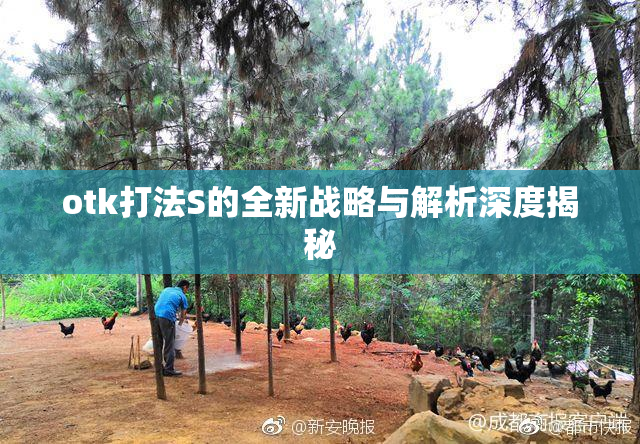 otk打法S的全新战略与解析深度揭秘