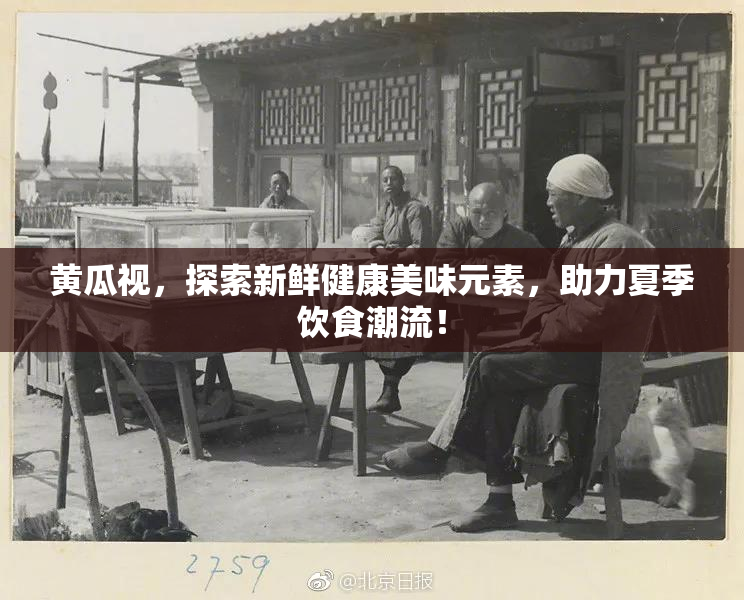 黄瓜视，探索新鲜健康美味元素，助力夏季饮食潮流！