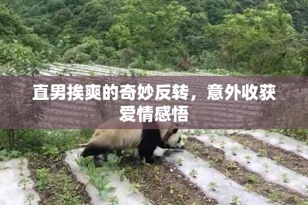 直男挨爽的奇妙反转，意外收获爱情感悟