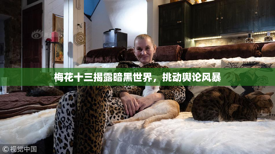 梅花十三揭露暗黑世界，挑动舆论风暴