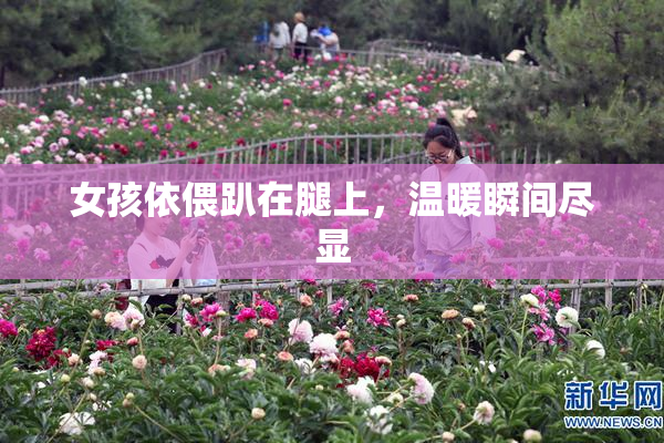 女孩依偎趴在腿上，温暖瞬间尽显