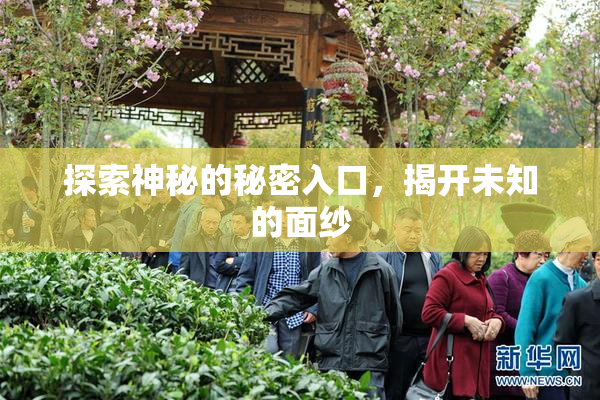 探索神秘的秘密入口，揭开未知的面纱