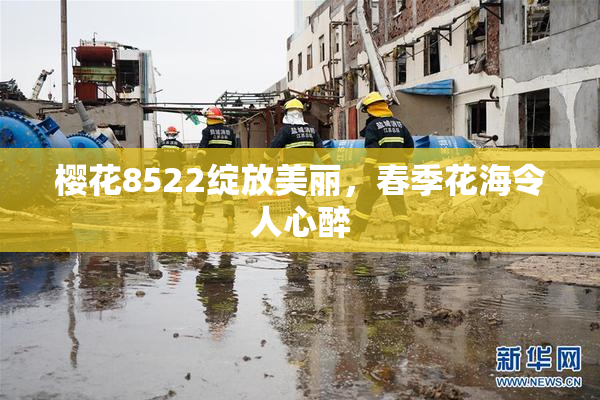 樱花8522绽放美丽，春季花海令人心醉