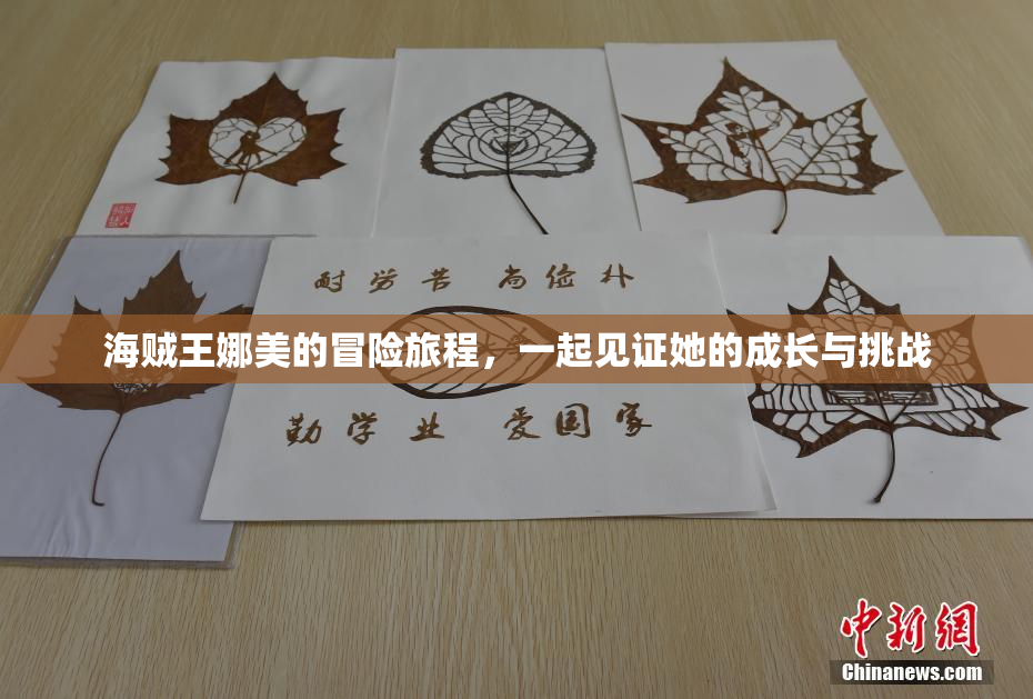 海贼王娜美的冒险旅程，一起见证她的成长与挑战