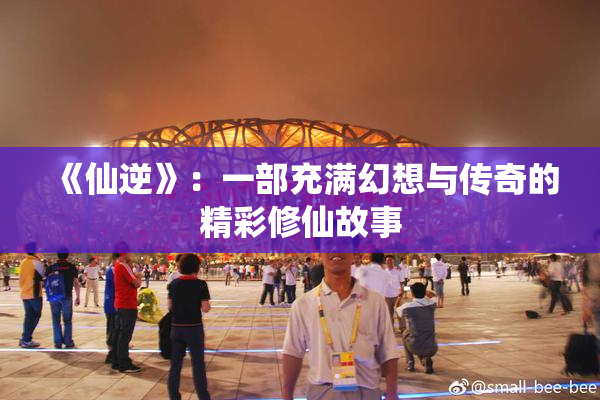 《仙逆》：一部充满幻想与传奇的精彩修仙故事