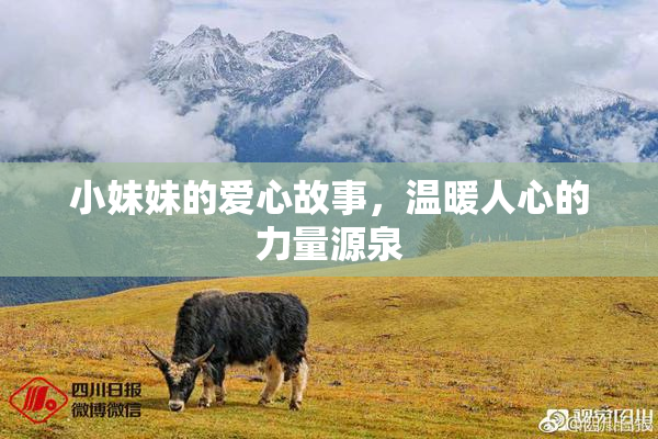 小妹妹的爱心故事，温暖人心的力量源泉