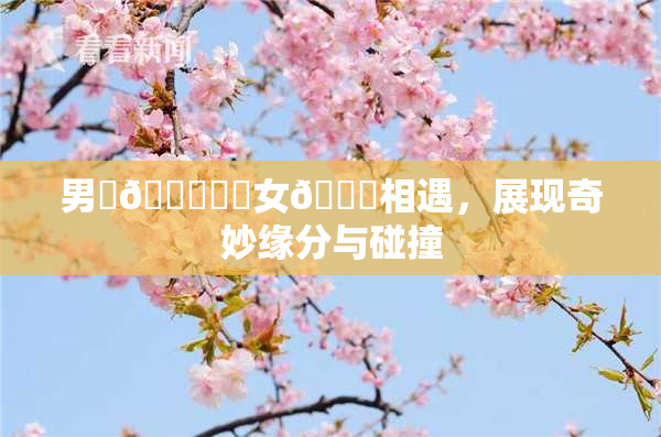 男‌🍌❌‌女🍑相遇，展现奇妙缘分与碰撞